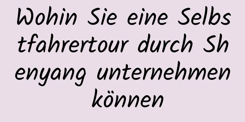 Wohin Sie eine Selbstfahrertour durch Shenyang unternehmen können