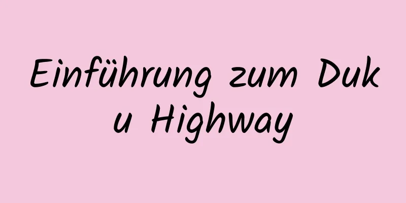 Einführung zum Duku Highway