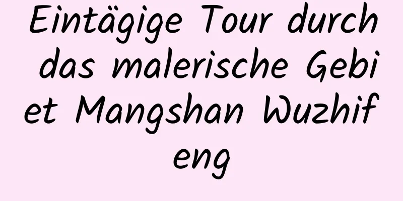 Eintägige Tour durch das malerische Gebiet Mangshan Wuzhifeng