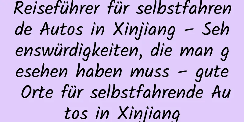 Reiseführer für selbstfahrende Autos in Xinjiang – Sehenswürdigkeiten, die man gesehen haben muss – gute Orte für selbstfahrende Autos in Xinjiang