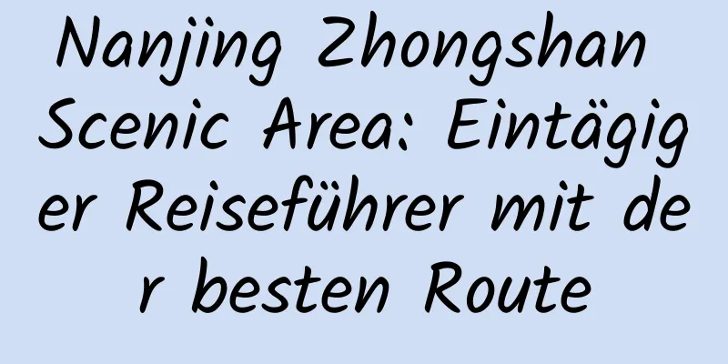 Nanjing Zhongshan Scenic Area: Eintägiger Reiseführer mit der besten Route