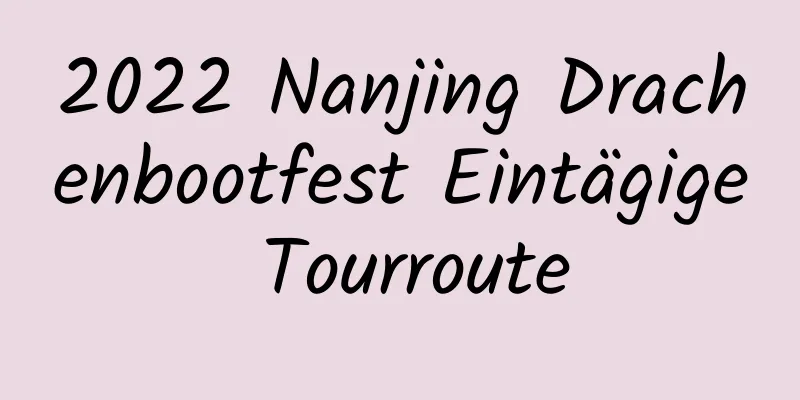 2022 Nanjing Drachenbootfest Eintägige Tourroute