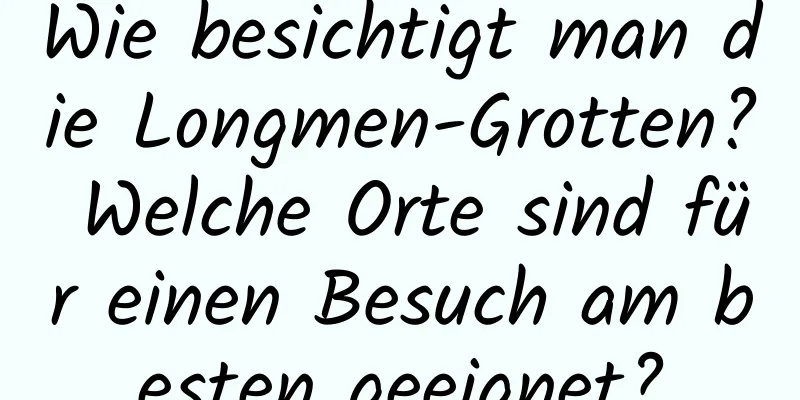 Wie besichtigt man die Longmen-Grotten? Welche Orte sind für einen Besuch am besten geeignet?