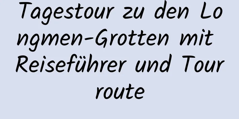 Tagestour zu den Longmen-Grotten mit Reiseführer und Tourroute