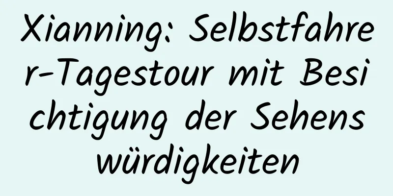 Xianning: Selbstfahrer-Tagestour mit Besichtigung der Sehenswürdigkeiten