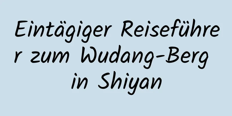 Eintägiger Reiseführer zum Wudang-Berg in Shiyan