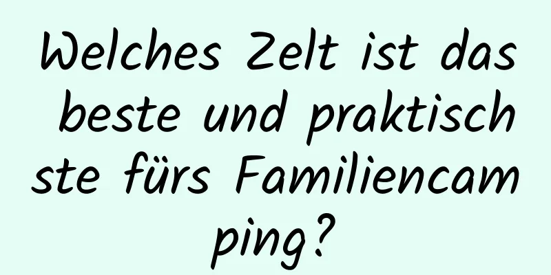 Welches Zelt ist das beste und praktischste fürs Familiencamping?