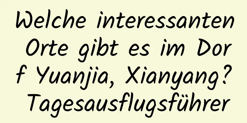 Welche interessanten Orte gibt es im Dorf Yuanjia, Xianyang? Tagesausflugsführer