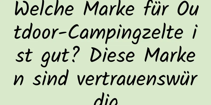 Welche Marke für Outdoor-Campingzelte ist gut? Diese Marken sind vertrauenswürdig