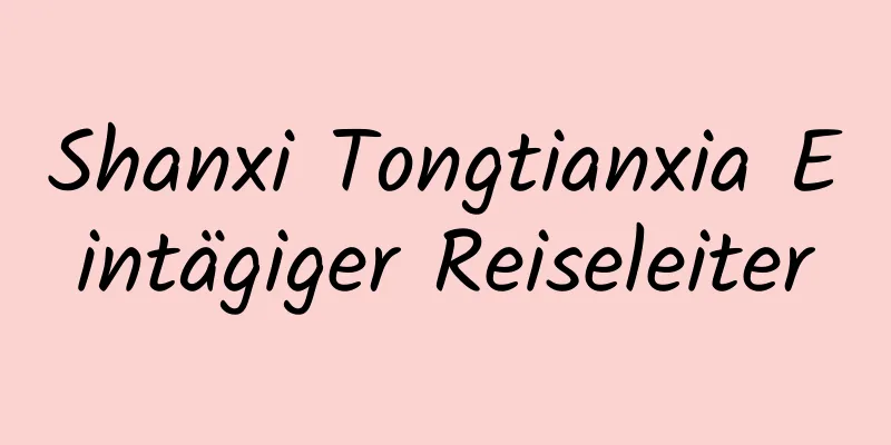 Shanxi Tongtianxia Eintägiger Reiseleiter