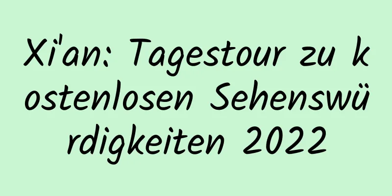 Xi'an: Tagestour zu kostenlosen Sehenswürdigkeiten 2022