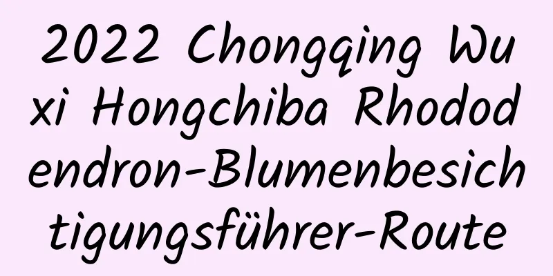 2022 Chongqing Wuxi Hongchiba Rhododendron-Blumenbesichtigungsführer-Route