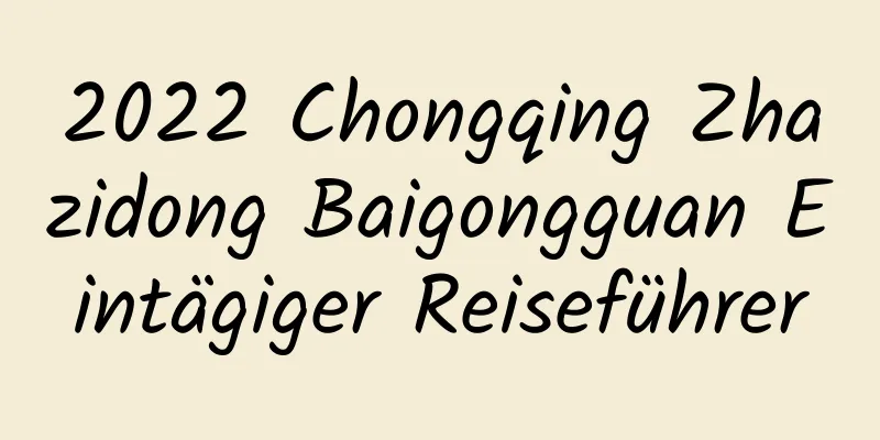 2022 Chongqing Zhazidong Baigongguan Eintägiger Reiseführer