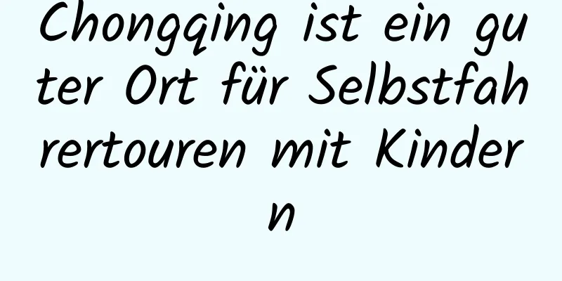 Chongqing ist ein guter Ort für Selbstfahrertouren mit Kindern