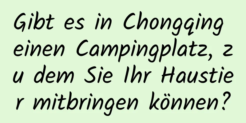 Gibt es in Chongqing einen Campingplatz, zu dem Sie Ihr Haustier mitbringen können?