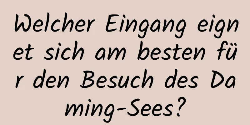 Welcher Eingang eignet sich am besten für den Besuch des Daming-Sees?