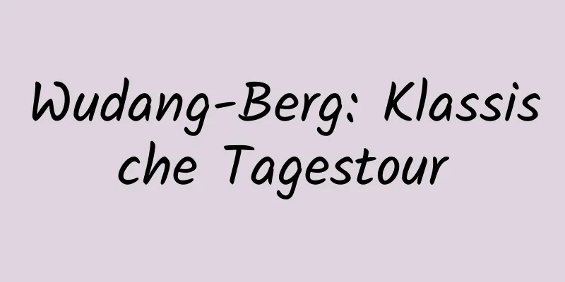 Wudang-Berg: Klassische Tagestour