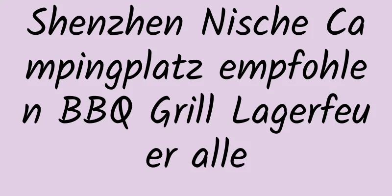 Shenzhen Nische Campingplatz empfohlen BBQ Grill Lagerfeuer alle