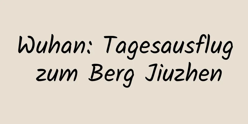 Wuhan: Tagesausflug zum Berg Jiuzhen