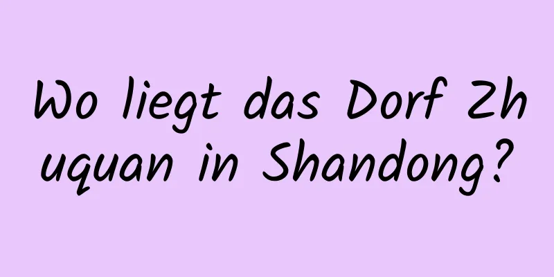 Wo liegt das Dorf Zhuquan in Shandong?