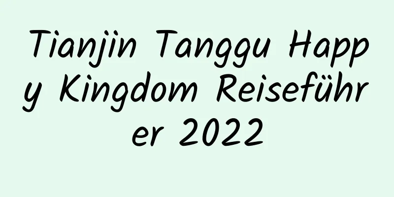 Tianjin Tanggu Happy Kingdom Reiseführer 2022