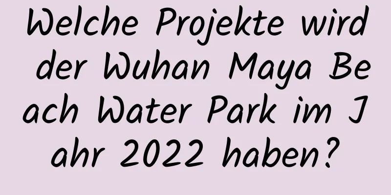 Welche Projekte wird der Wuhan Maya Beach Water Park im Jahr 2022 haben?