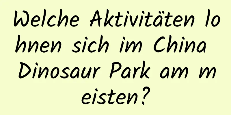 Welche Aktivitäten lohnen sich im China Dinosaur Park am meisten?