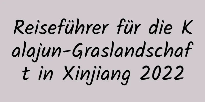 Reiseführer für die Kalajun-Graslandschaft in Xinjiang 2022