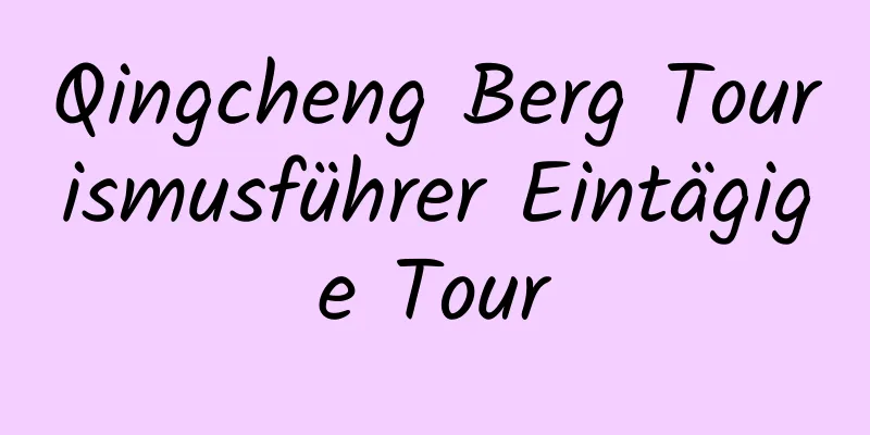 Qingcheng Berg Tourismusführer Eintägige Tour