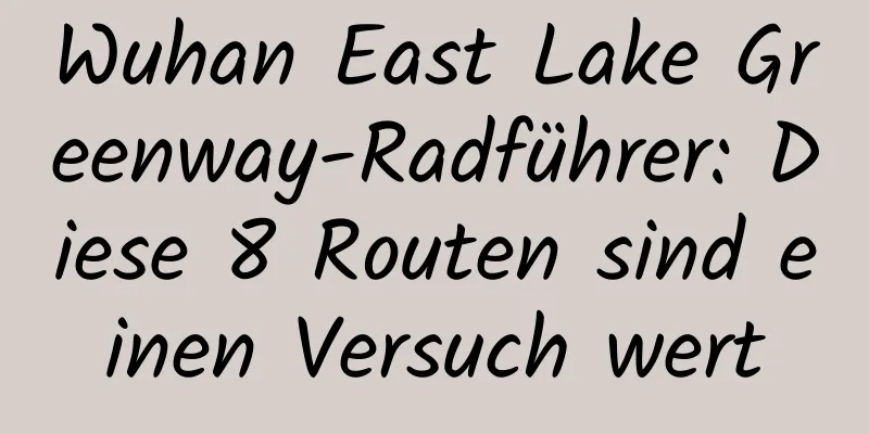 Wuhan East Lake Greenway-Radführer: Diese 8 Routen sind einen Versuch wert