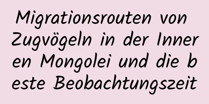 Migrationsrouten von Zugvögeln in der Inneren Mongolei und die beste Beobachtungszeit