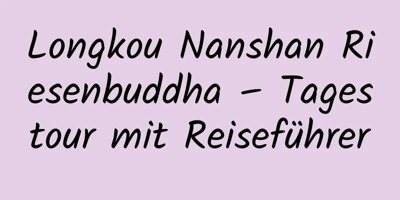 Longkou Nanshan Riesenbuddha – Tagestour mit Reiseführer