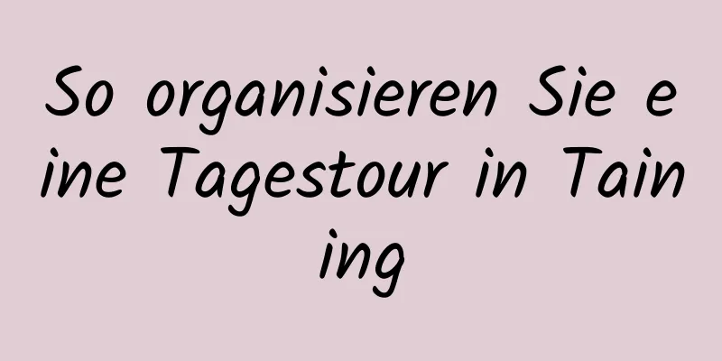 So organisieren Sie eine Tagestour in Taining