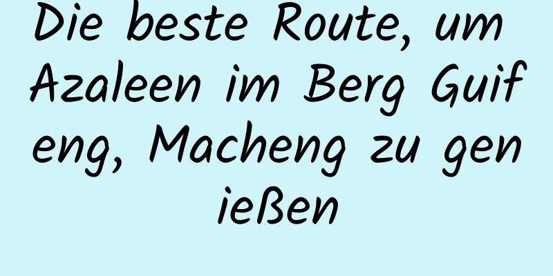 Die beste Route, um Azaleen im Berg Guifeng, Macheng zu genießen