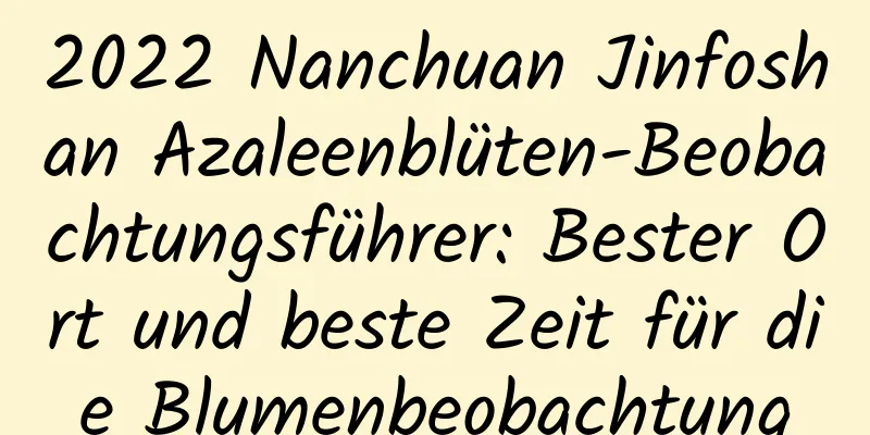 2022 Nanchuan Jinfoshan Azaleenblüten-Beobachtungsführer: Bester Ort und beste Zeit für die Blumenbeobachtung