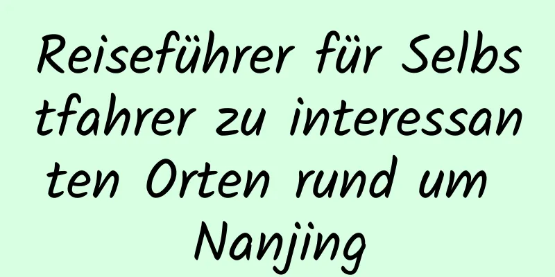 Reiseführer für Selbstfahrer zu interessanten Orten rund um Nanjing