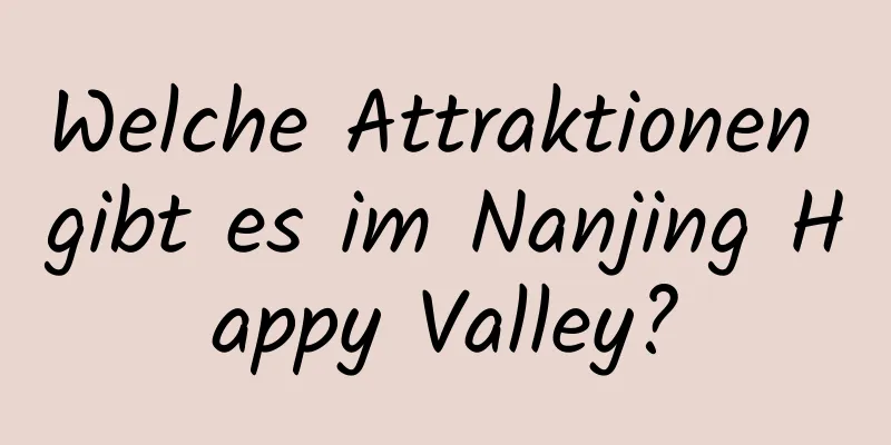 Welche Attraktionen gibt es im Nanjing Happy Valley?