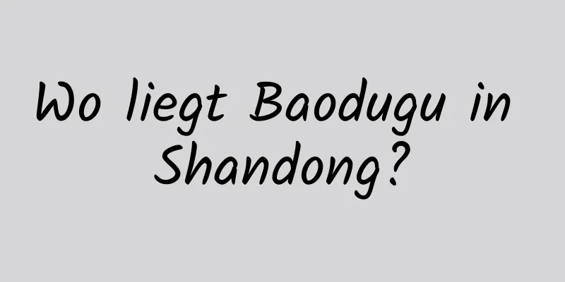 Wo liegt Baodugu in Shandong?