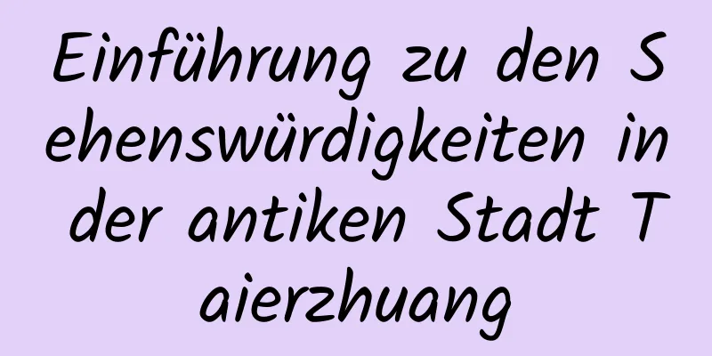 Einführung zu den Sehenswürdigkeiten in der antiken Stadt Taierzhuang