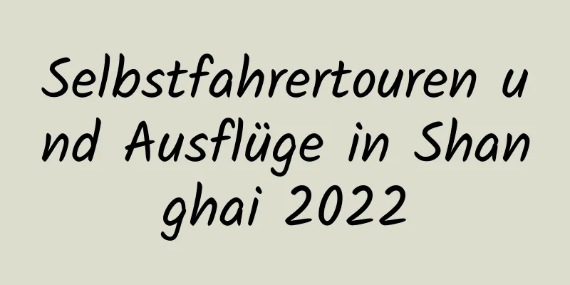 Selbstfahrertouren und Ausflüge in Shanghai 2022