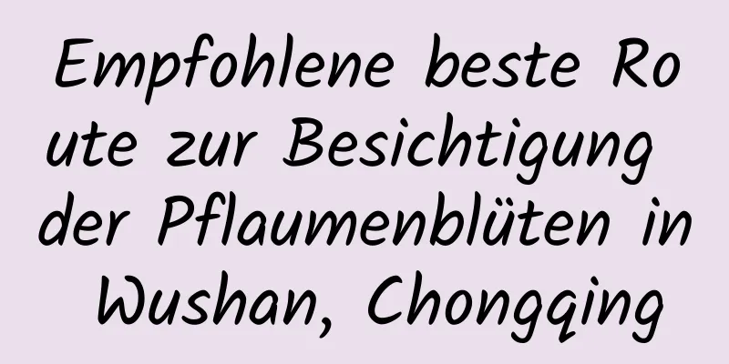 Empfohlene beste Route zur Besichtigung der Pflaumenblüten in Wushan, Chongqing