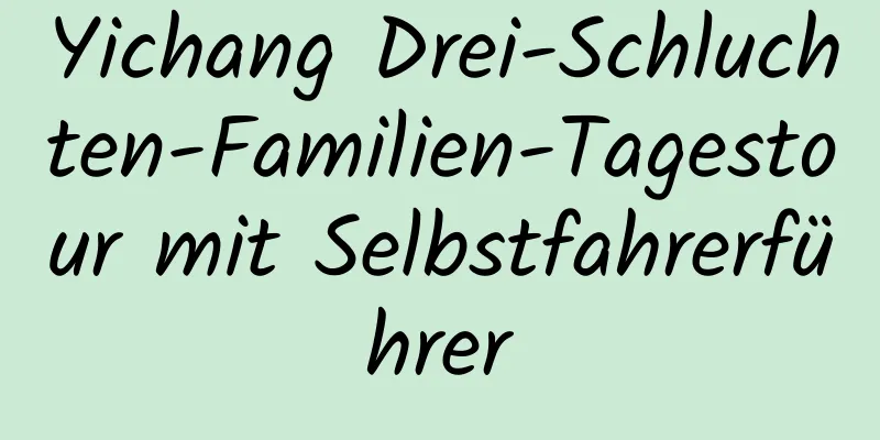 Yichang Drei-Schluchten-Familien-Tagestour mit Selbstfahrerführer