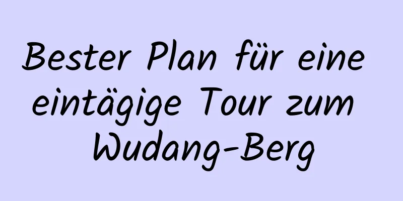 Bester Plan für eine eintägige Tour zum Wudang-Berg