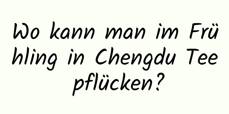 Wo kann man im Frühling in Chengdu Tee pflücken?