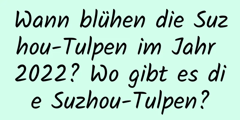 Wann blühen die Suzhou-Tulpen im Jahr 2022? Wo gibt es die Suzhou-Tulpen?