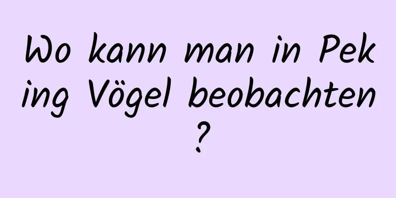 Wo kann man in Peking Vögel beobachten?