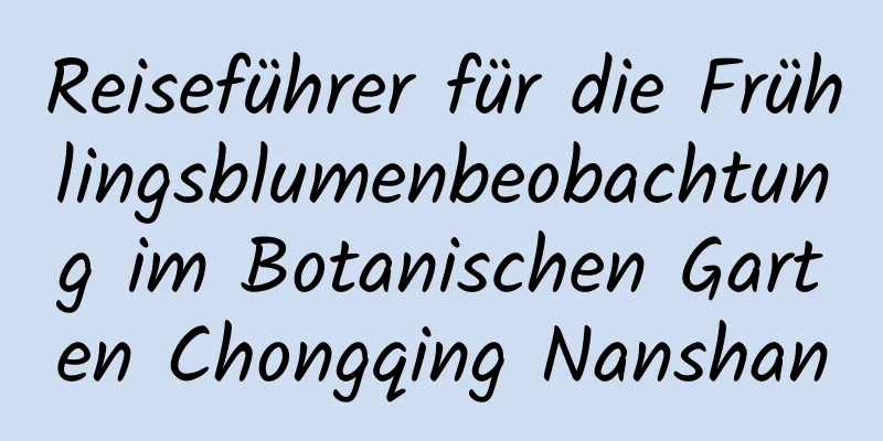 Reiseführer für die Frühlingsblumenbeobachtung im Botanischen Garten Chongqing Nanshan