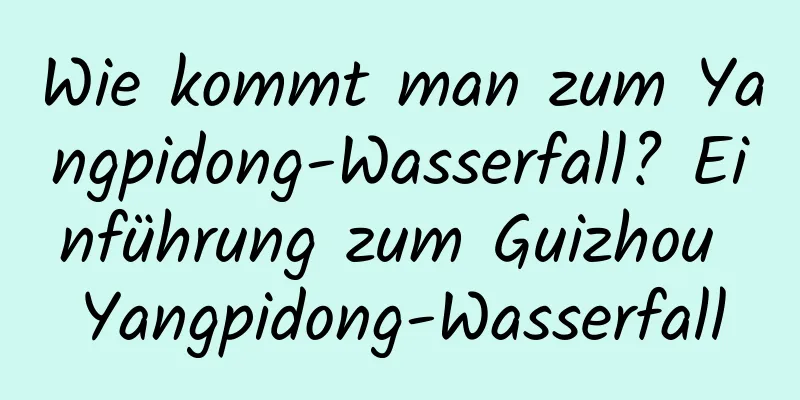 Wie kommt man zum Yangpidong-Wasserfall? Einführung zum Guizhou Yangpidong-Wasserfall