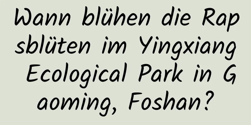 Wann blühen die Rapsblüten im Yingxiang Ecological Park in Gaoming, Foshan?