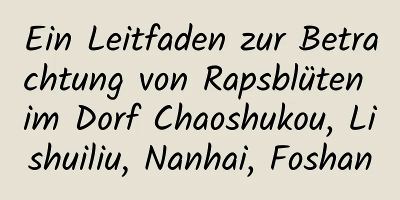 Ein Leitfaden zur Betrachtung von Rapsblüten im Dorf Chaoshukou, Lishuiliu, Nanhai, Foshan